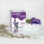 Borst- en rugbalsem Lavendel en Eucalyptus (50ml)
